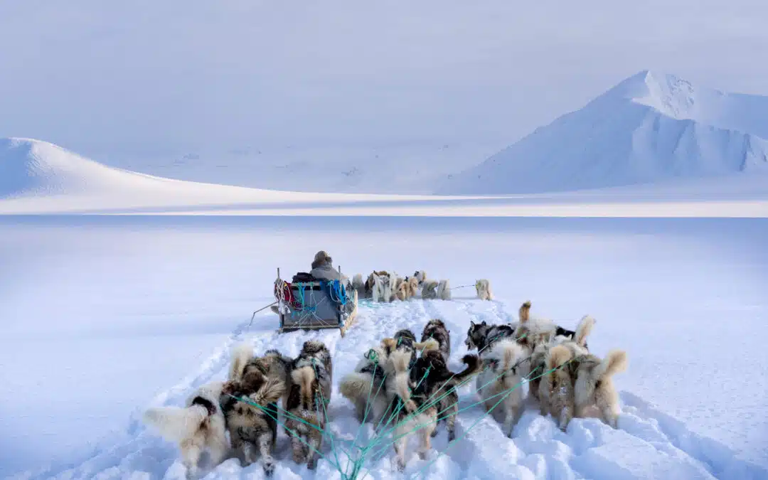 Grönland | Leben mit den Inuit (ZDF Terra-X)